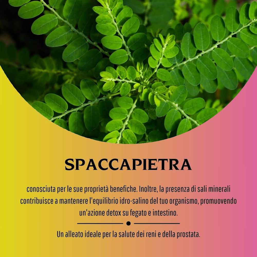 908371267 - SPACCAPIETRA 160 COMPRESSE - 4716044_5.jpg