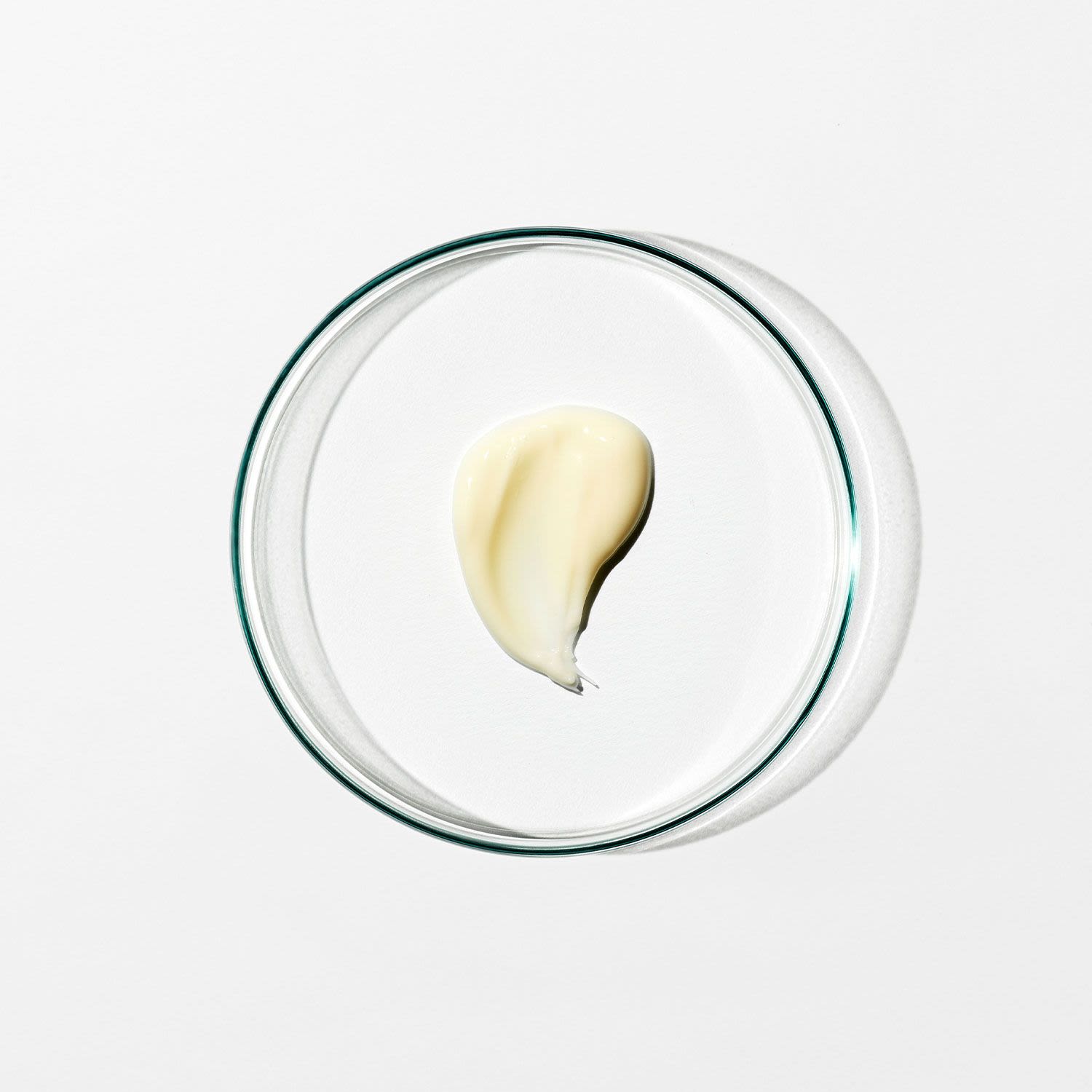 image - 975198134 - Grown Alchemist Regenerating Night Cream crema viso rigenerante 40ml - 4732173_4.jpg