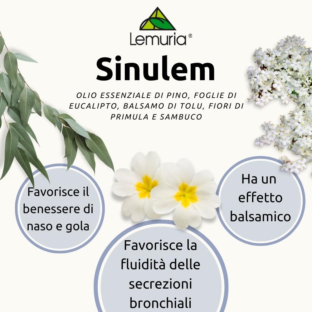 image - 913156547 -  - 4717083_2.jpg