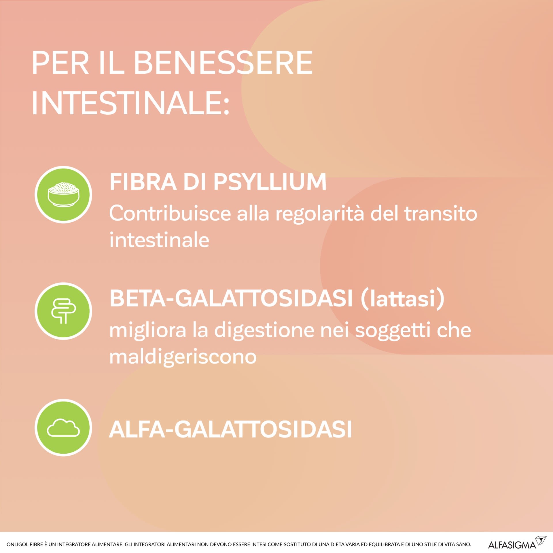 987247691 - ONLIGOL FIBRE PESCA 20 BUSTINE - 4764364_4.jpg