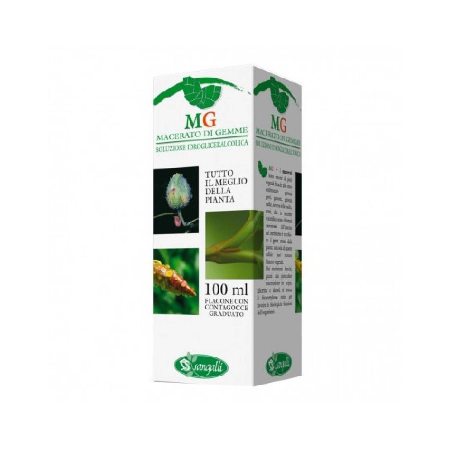 Betula Verrucosa Macerato Glicerico 100ml