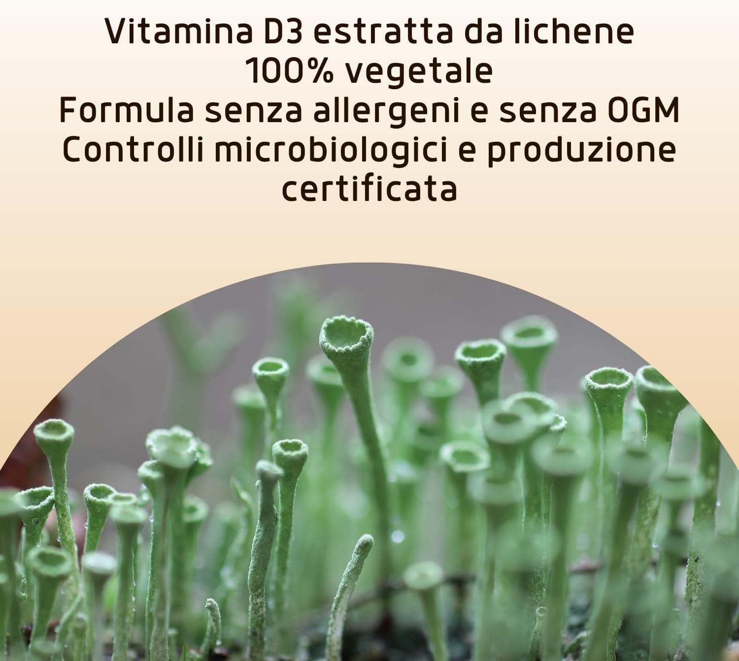 950479269 - VITAMINA D3 VEGETAL 20 ML - 4832893_5.jpg