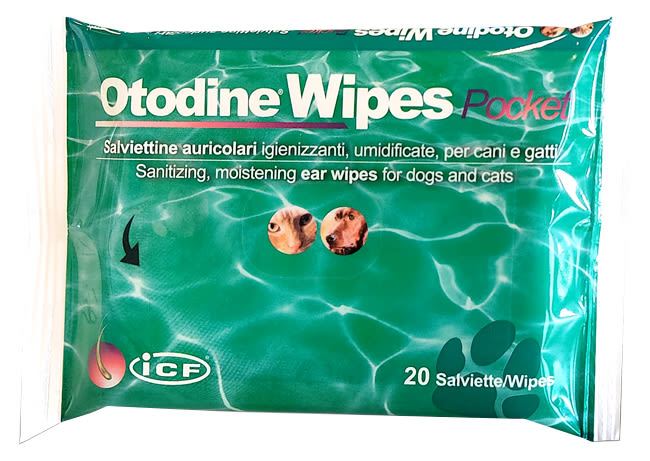 985574514 - OTODINE WIPES POCKET 20 PEZZI - 0006570_1.jpg