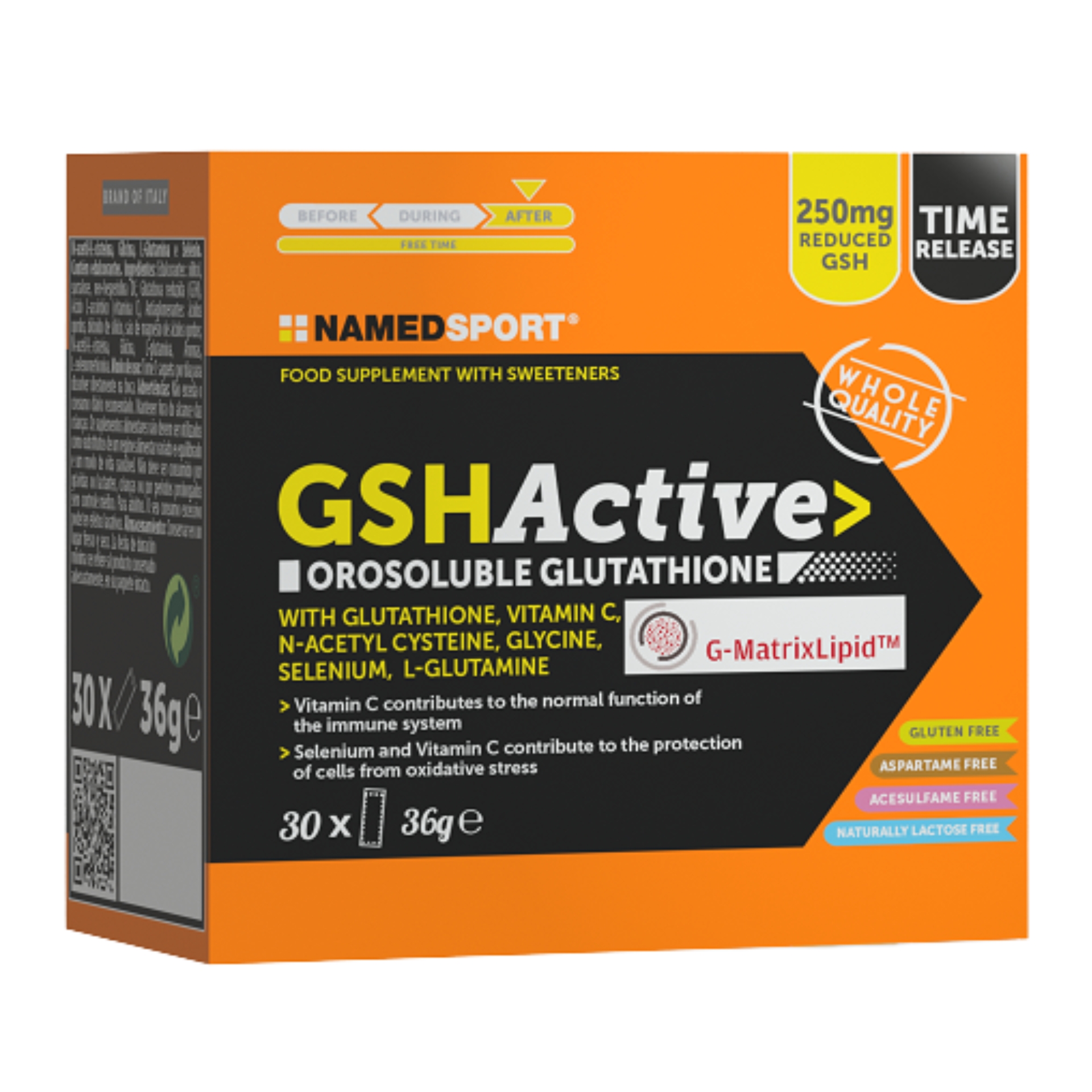 985509328 - GSHACTIVE 30 BUSTINE - 4828318_1.jpg