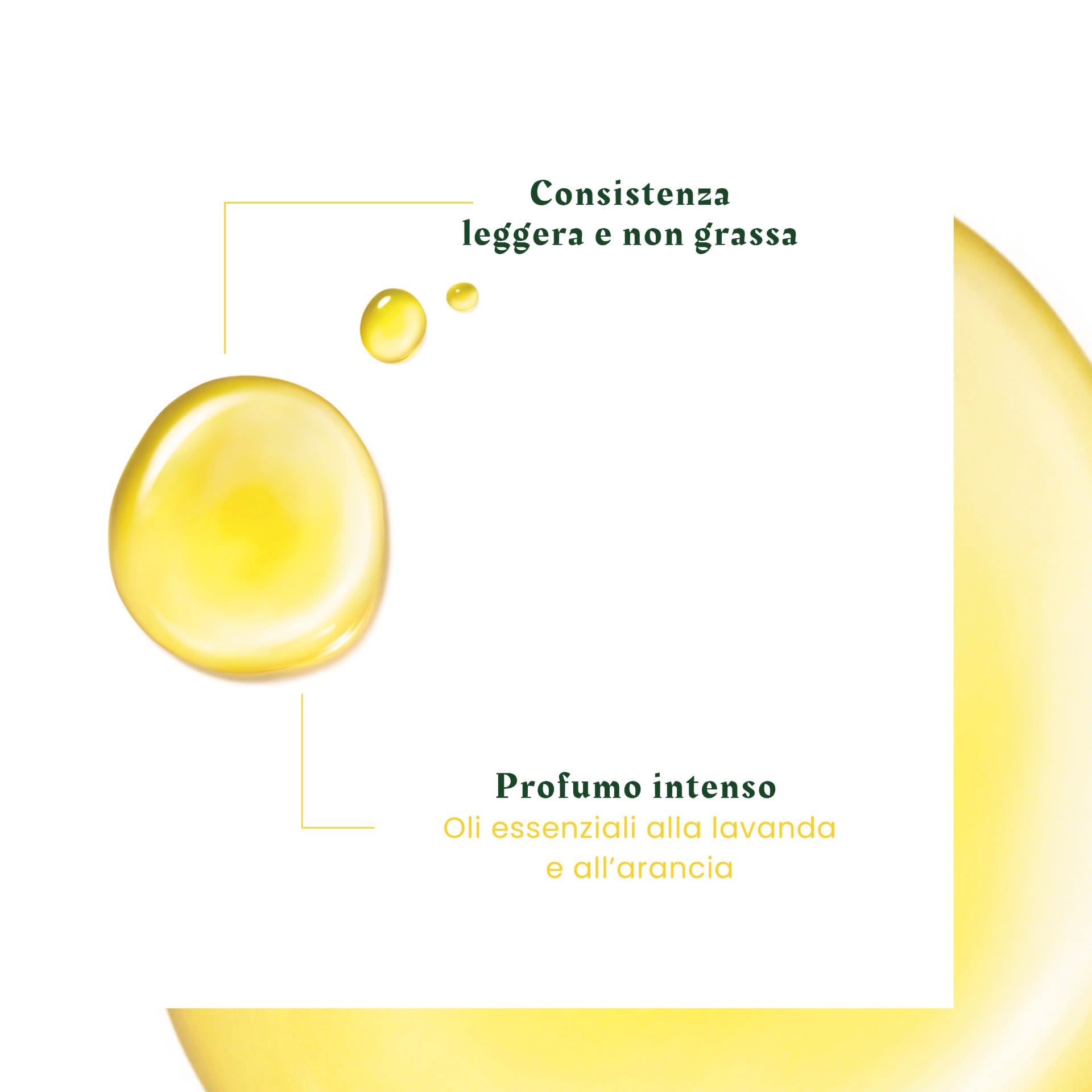 image - 985649882 - RENE FURTERER COMPLEXE 5 HEAD SPA CONCENTRATO STIMOLANTE 50 ML - 4711583_4.jpg