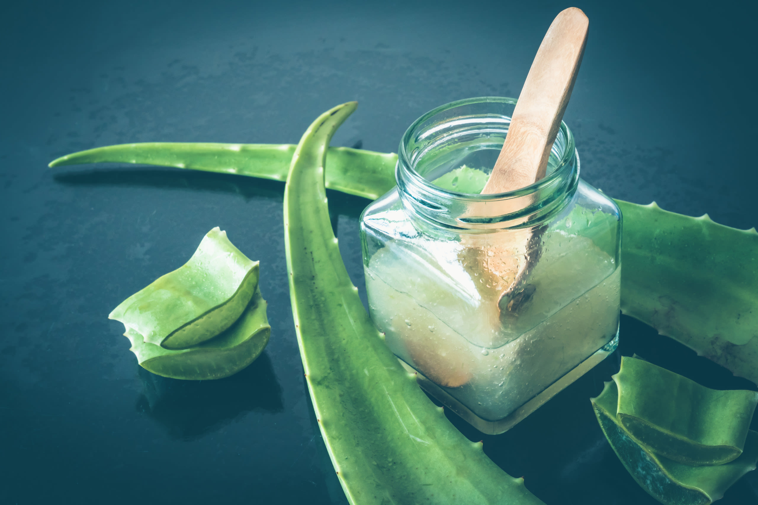 Magazine | Gel di aloe vera e i suoi molteplici utilizzi