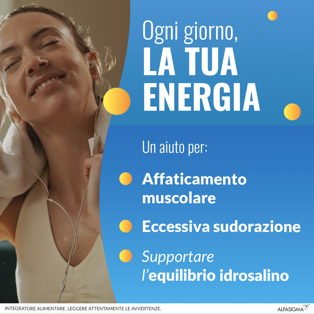 image - 932654167 - CARNIDYN FAST 20 BUSTINE - 7853429_5.jpg