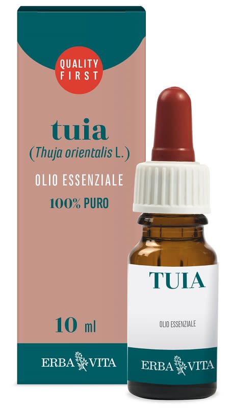 image - 901374165 - Olio essenziale di tuia in flacone da 10 ml, da diluire in olio vegetale per l'applicazione cutanea. - 4868430_1.jpg