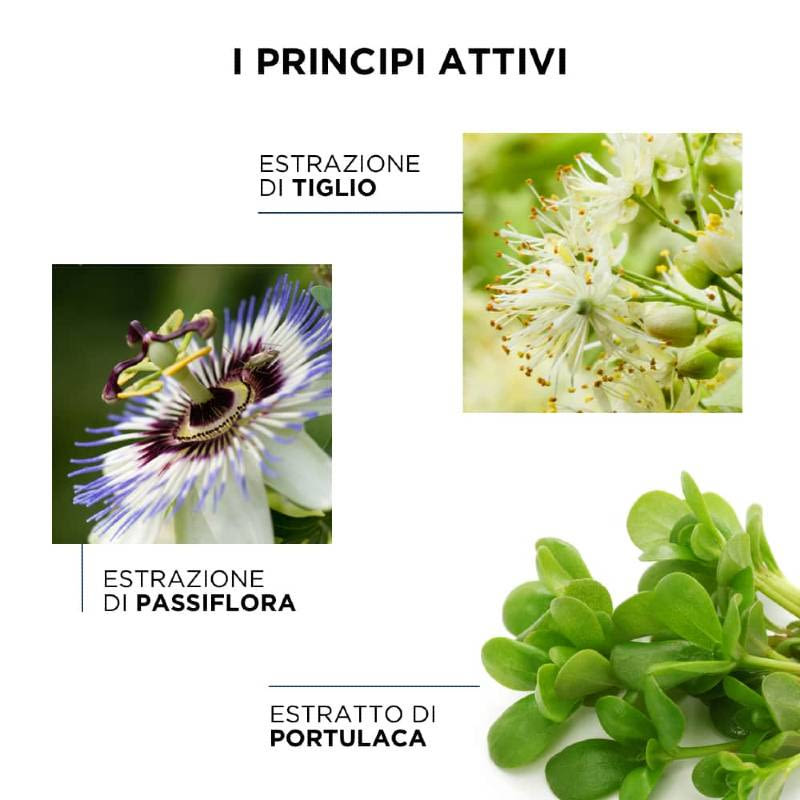 image - 976318194 - PHYTOAPAISANT SHAMPOO 250 ML - 4703949_2.jpg