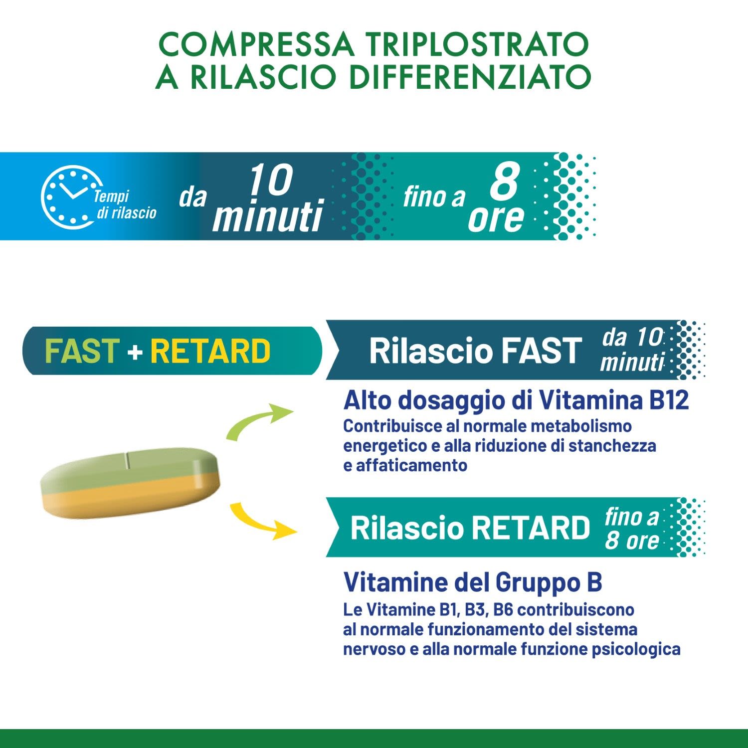 980519021 - GRUPPO B 30 COMPRESSE - 4736539_3.jpg