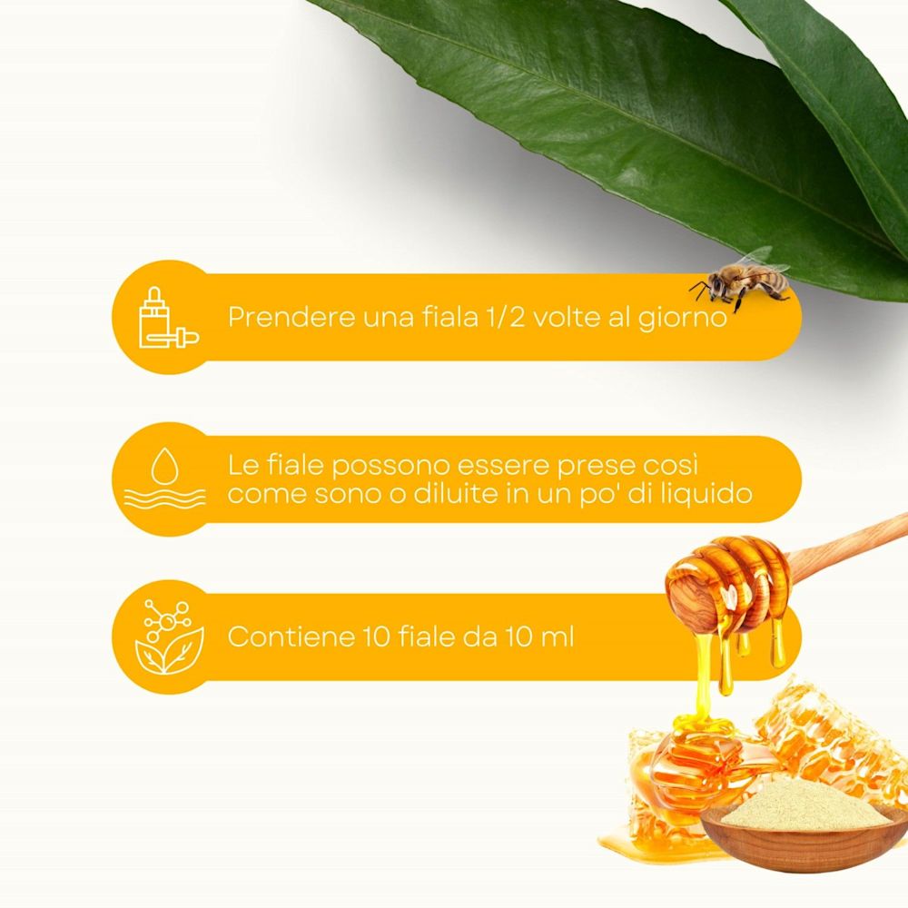 987292897 - Henerga Pappa Reale Integratore energetico 10 stick - 4744337_3.jpg