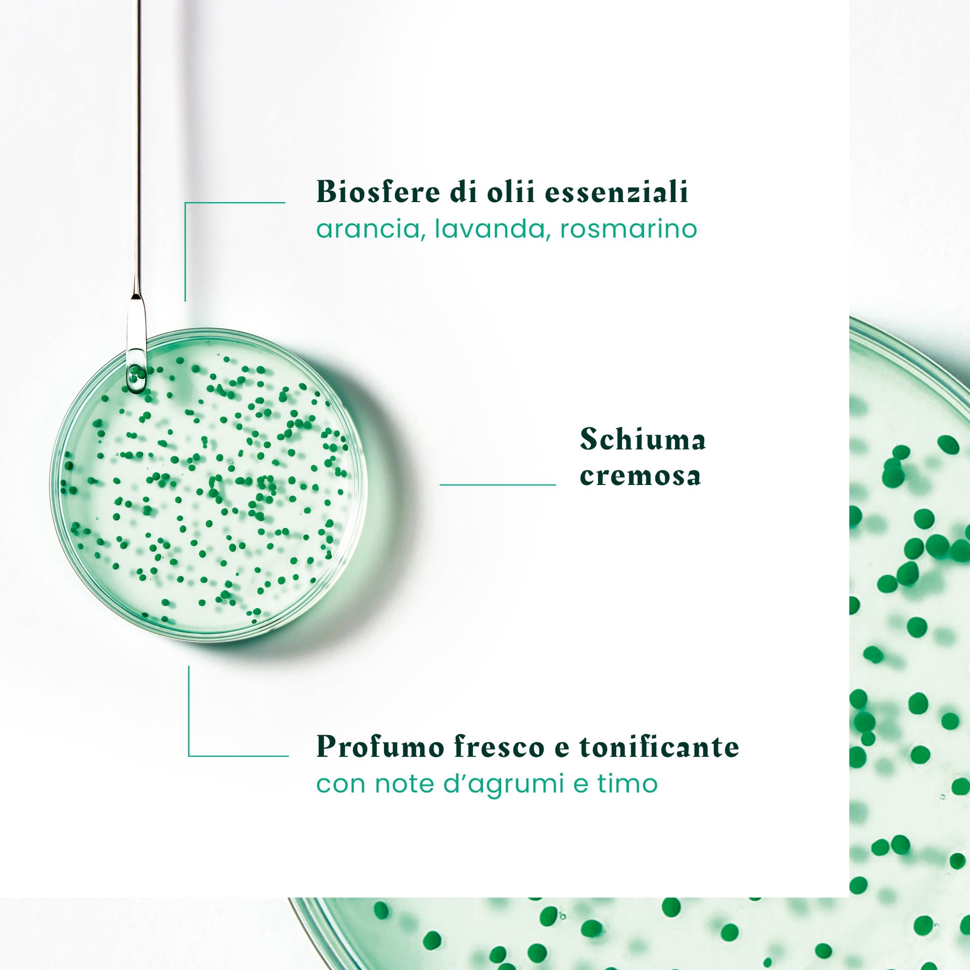 985649906 - FORTICEA SHAMPOO FORTIFICANTE E RIVITALIZZANTE 2023 200 ML - 4745720_4.jpg