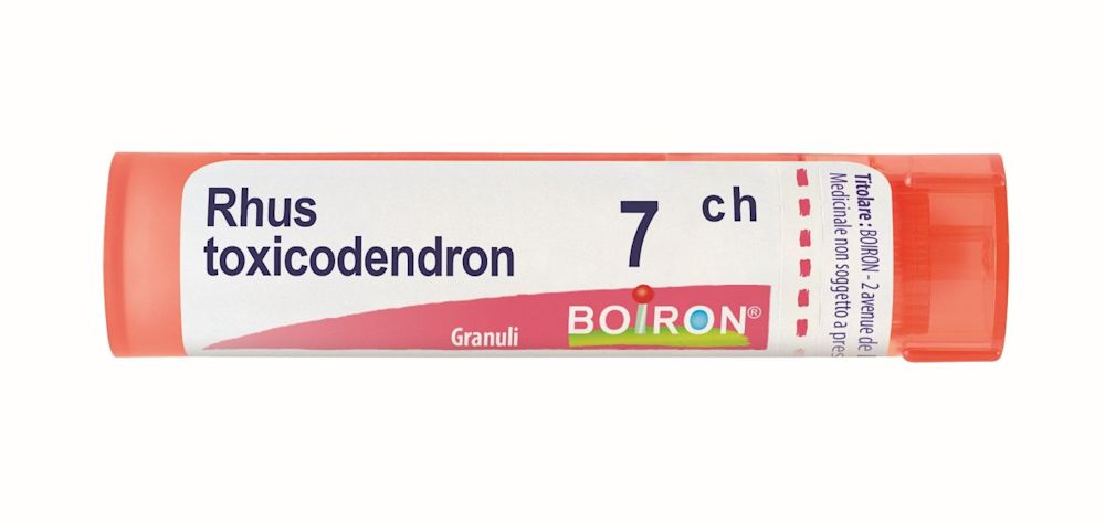 046498061 - Boiron Rhus Toxicodendron 7ch 80 granuli - 7895050_1.jpg