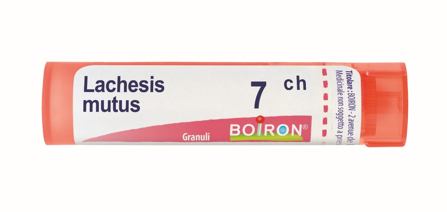 Boiron Lachesis Mutus 7ch Granuli