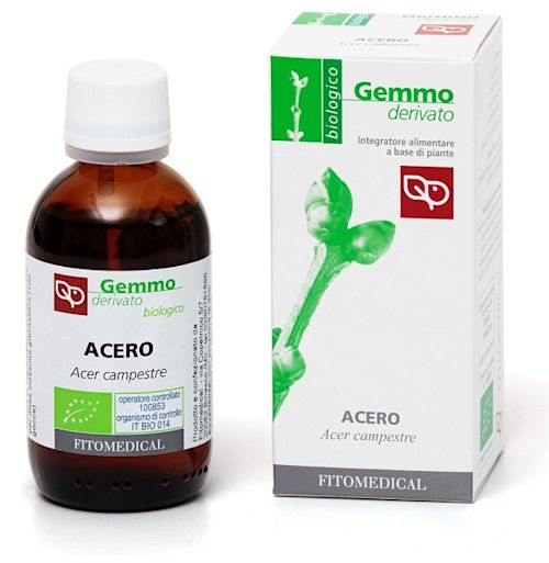 image - 987269887 - ACERO MACERATO GLICERICO 50 ML BIO - 4884013_1.jpg