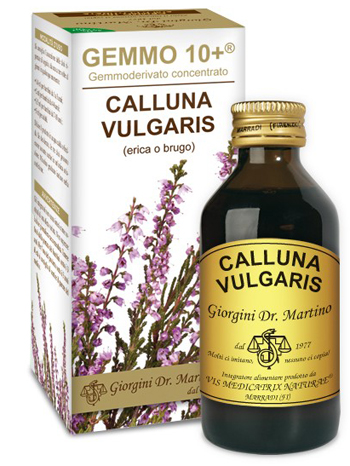 image - 924548163 - Gemmo 10+ Erica O Brugo &egrave; un integratore alimentare liquido analcolico da 100 ml, utile per il benessere delle vie urinarie. - 4867880_1.jpg