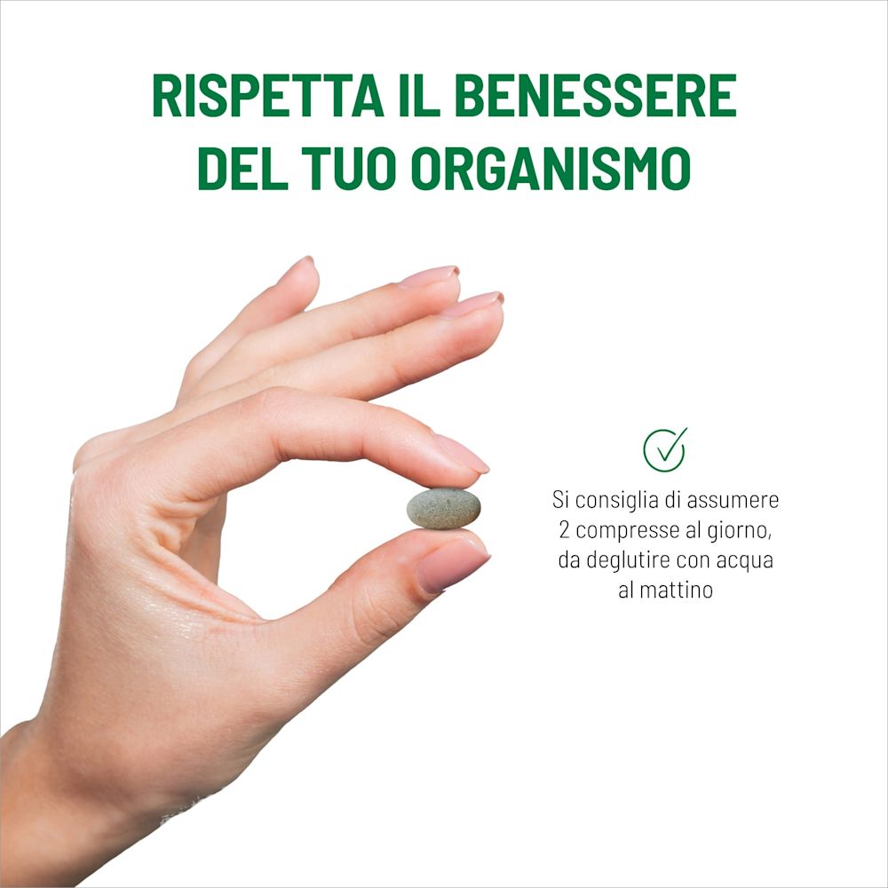 989052840 - EQUILIBRA MORINGA PROTEIN 120 COMPRESSE - 4797414_5.jpg