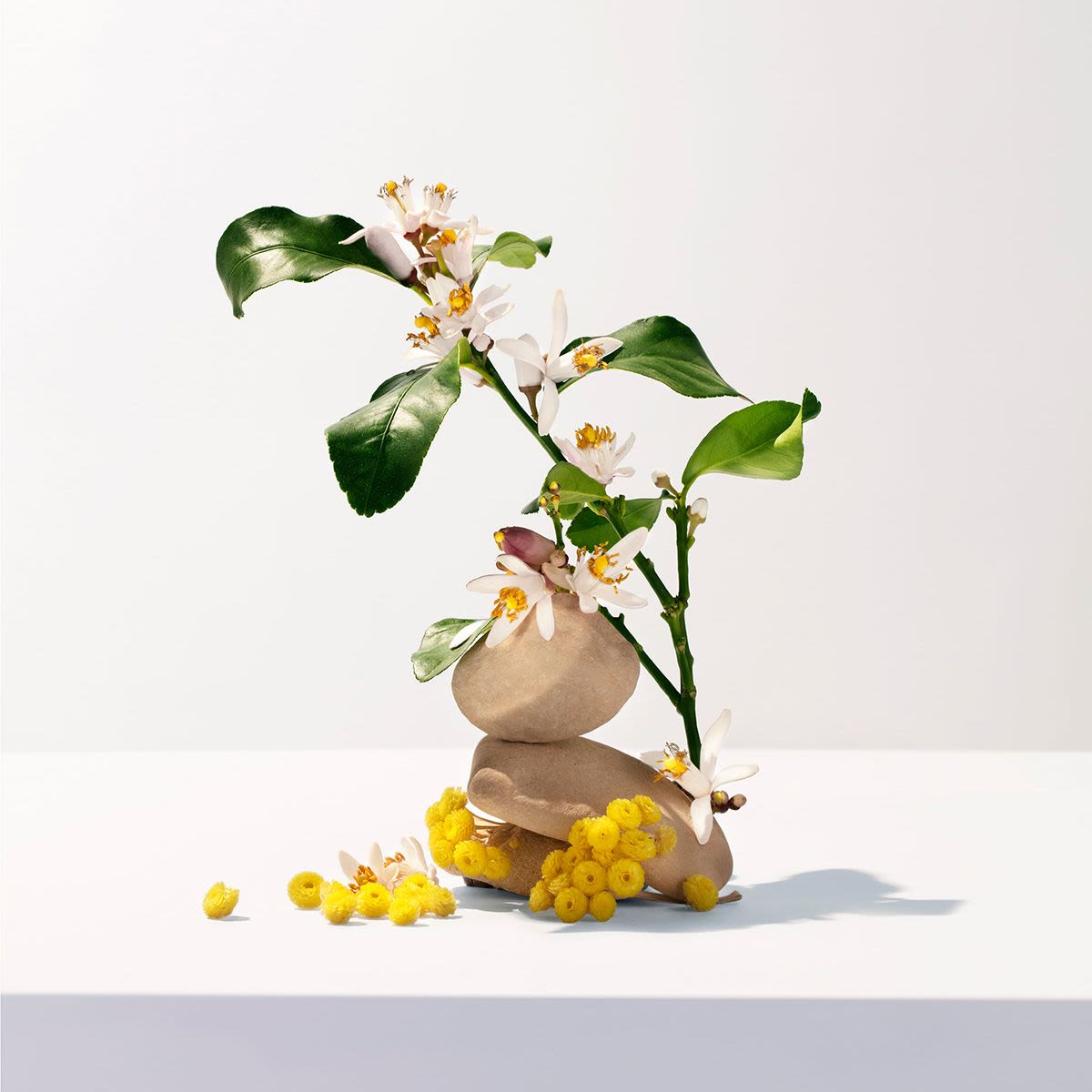 984356877 - Roger&Gallet Néroli Acqua profumata 100ml - 4740612_3.jpg