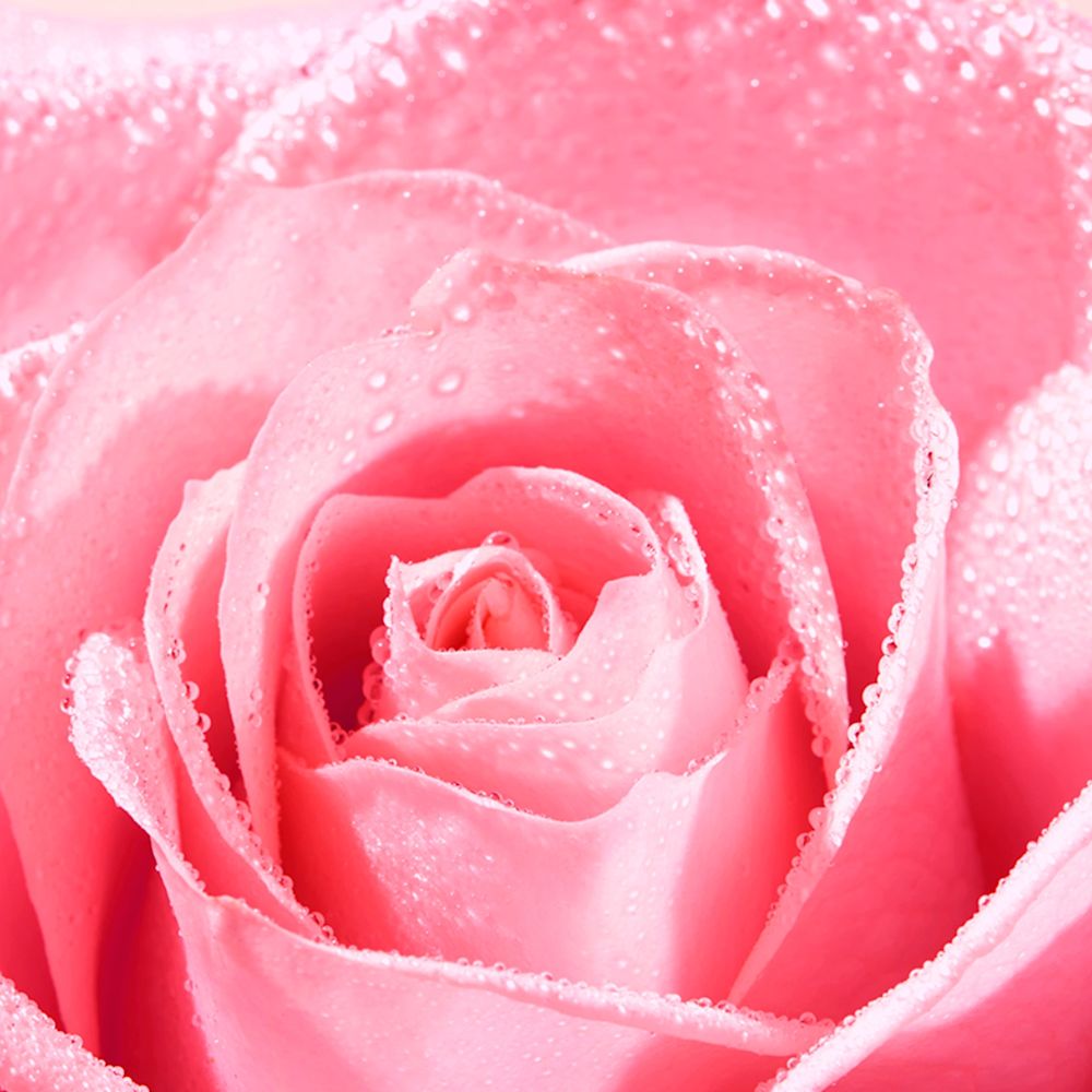 987408402 - NUXE VROSE CREMA MANI UNGHIE 50 ML - 4745178_4.jpg