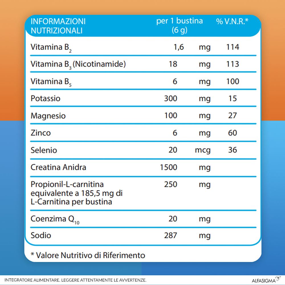 932654167 - CARNIDYN FAST 20 BUSTINE - 7853429_10.jpg