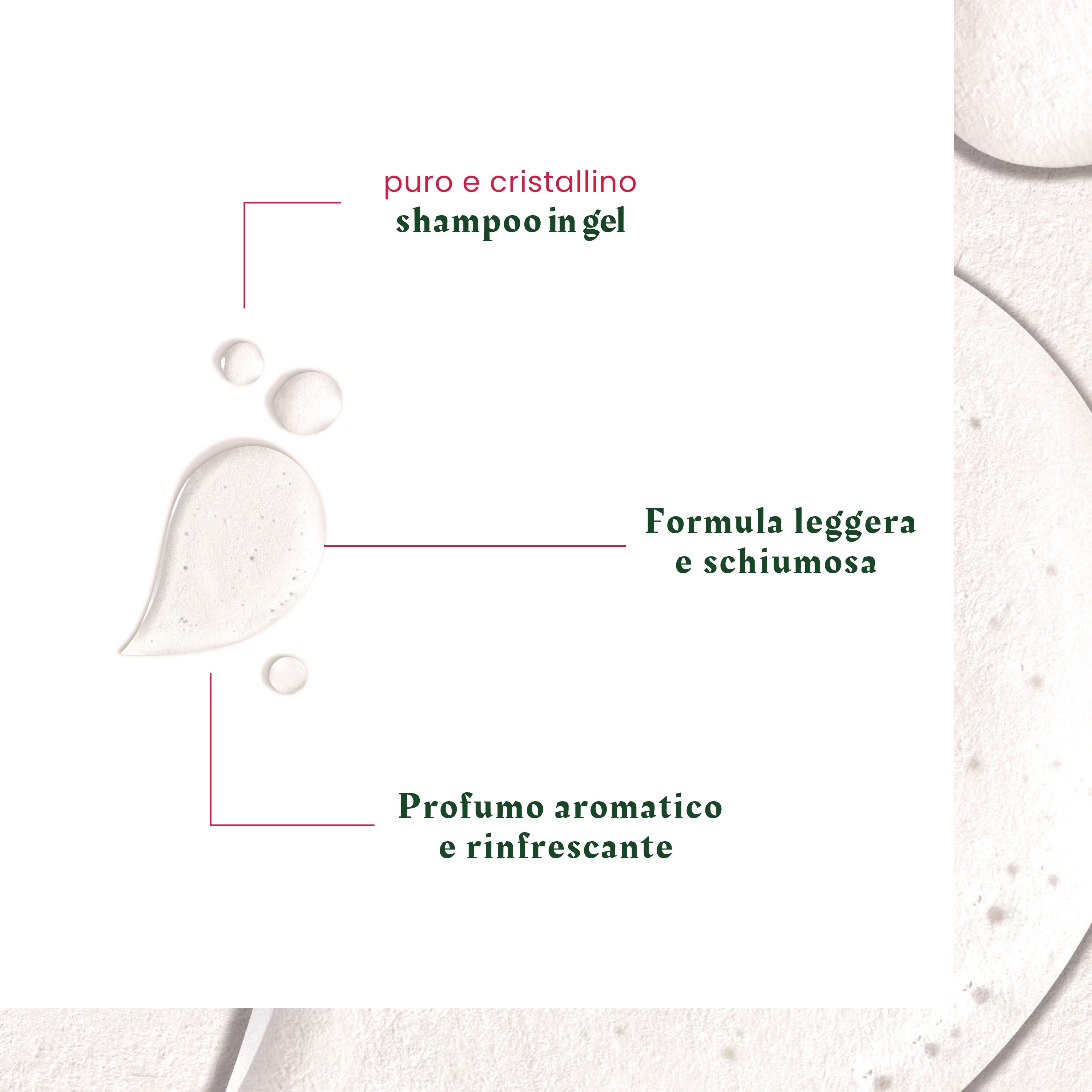 982977187 - Renè Furterer Neopur Shampoo Equilibrante Forfora Grassa 150ml - 4709038_4.jpg