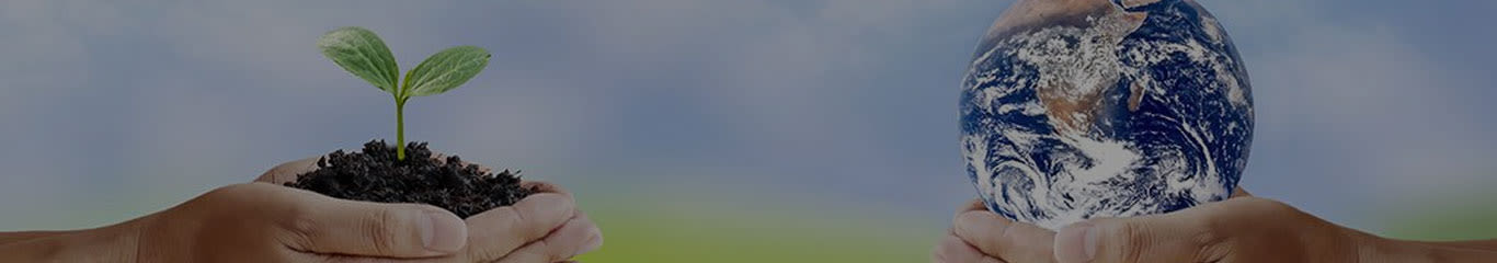 image - Magazine | Giornata Internazionale della Madre Terra: proteggiamola insieme