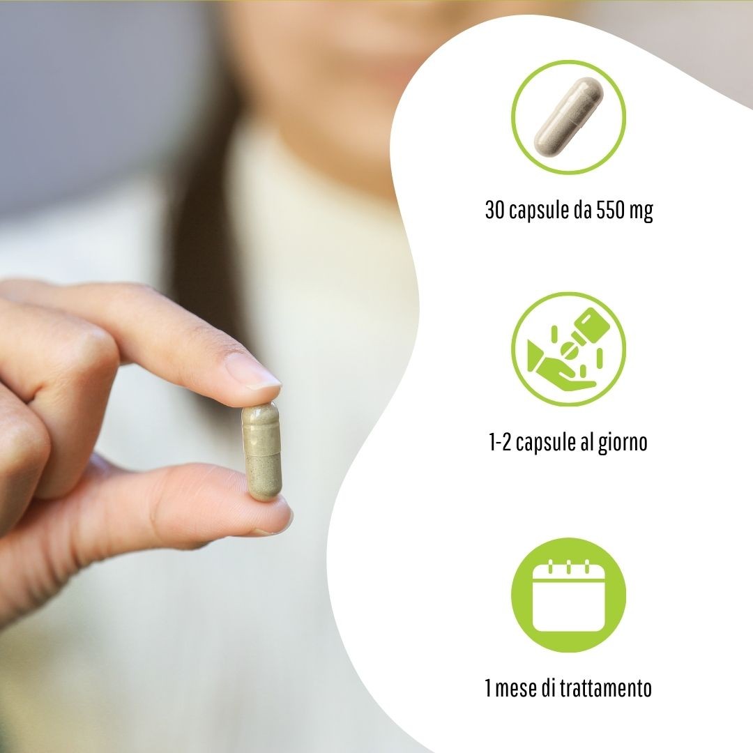 image - 987844925 - FLUIDERB NAC 600 30 CAPSULE - 4832890_4.jpg