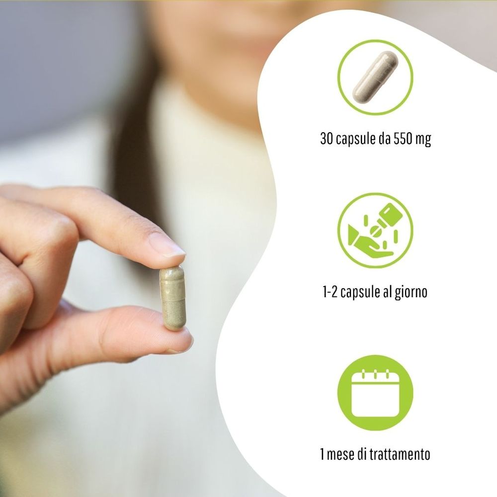 987844925 - FLUIDERB NAC 600 30 CAPSULE - 4832890_4.jpg