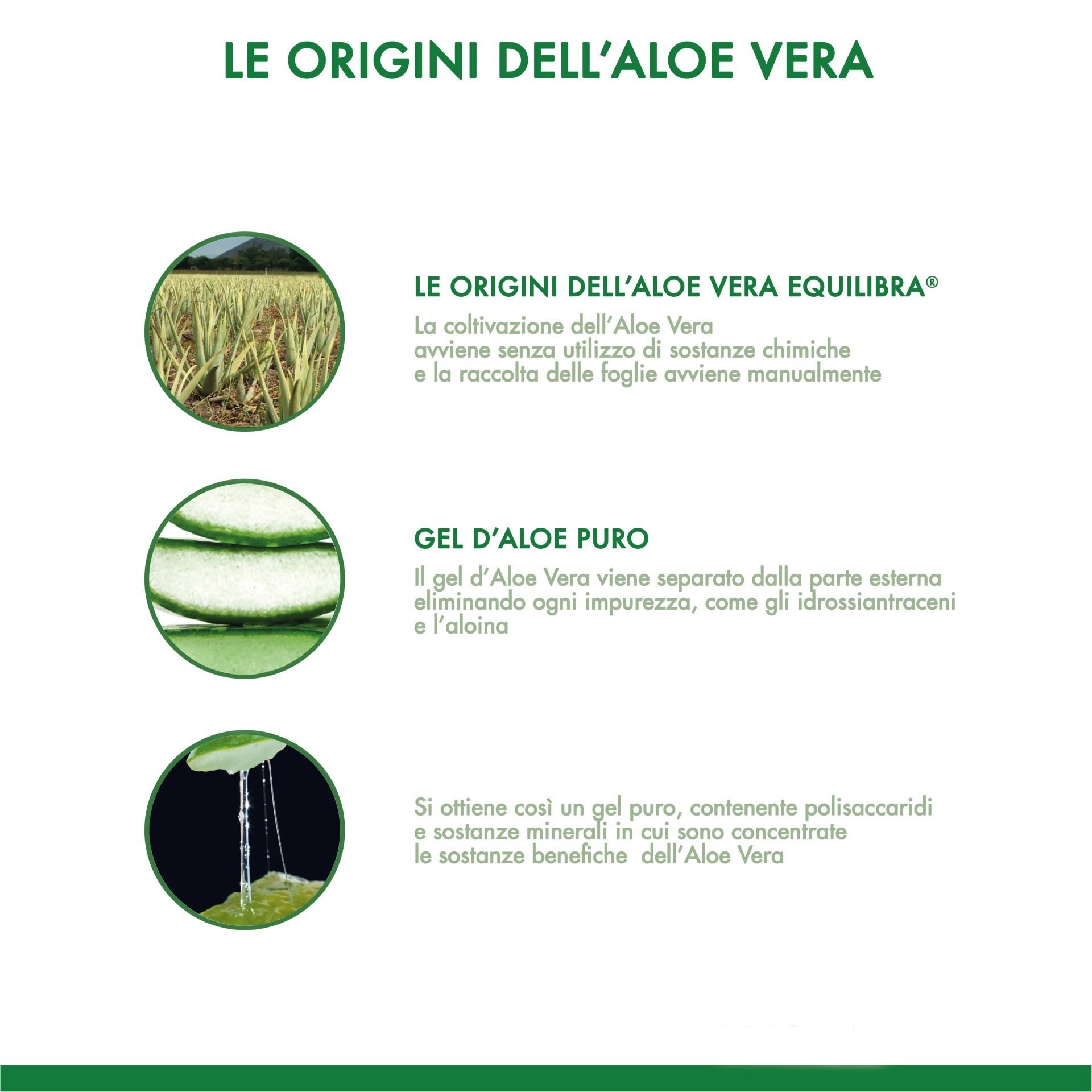 983001532 - BUON ALOE VERA 95% CON SUCCO DI PESCA CONCENTRATO 500 ML - 4797420_5.jpg