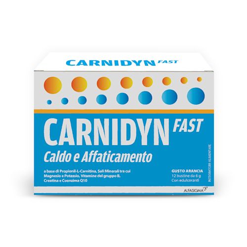 983282892 - CARNIDYN FAST 12 BUSTINE - 4709340_2.jpg