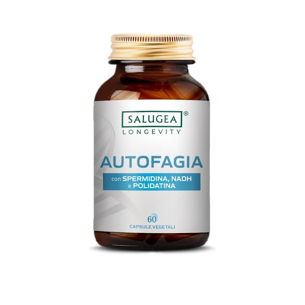 image - 952114282 - - 4880704_2.jpg