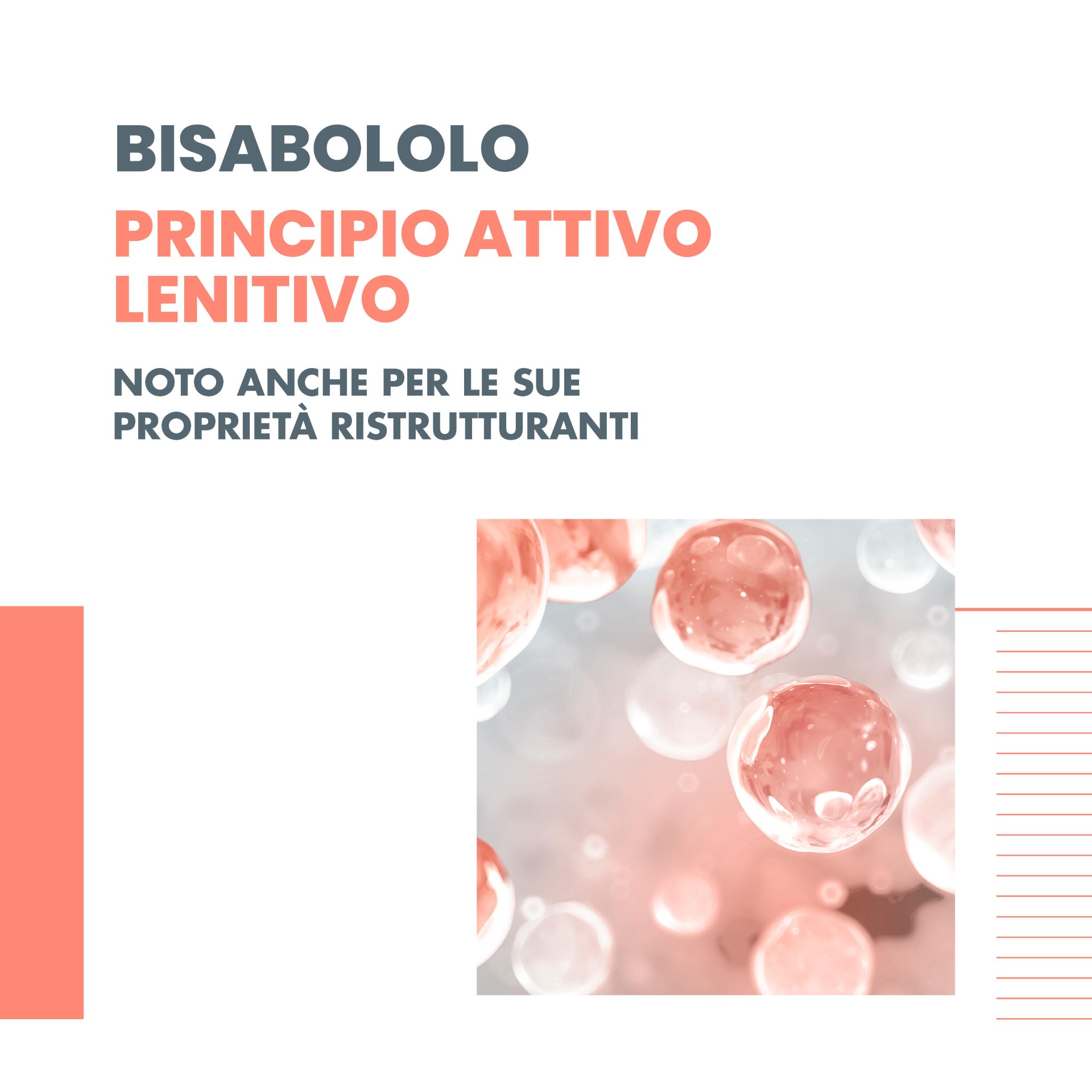 image - 986700084 -  - 4711580_2.jpg