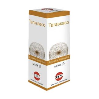 image - 904559477 - Soluzione idroalcolica di tarassaco utile per il drenaggio dei liquidi corporei e le funzioni depurative dell'organismo. - 4714539_2.jpg