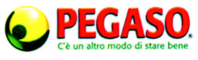 image - Pegaso