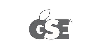 GSE