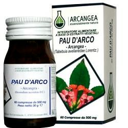 image - 904907918 - Integratore in capsule da 500 mg di Pau d'Arco, utile per supportare le funzioni naturali del sistema immunitario. - 7876626_1.jpg