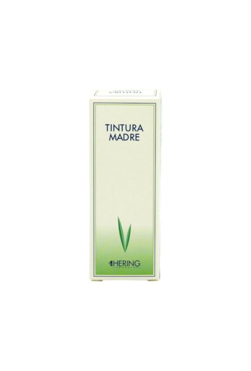 800662532 - Carduus Marianus Tintura Madre 30ml - 4712265_2.jpg