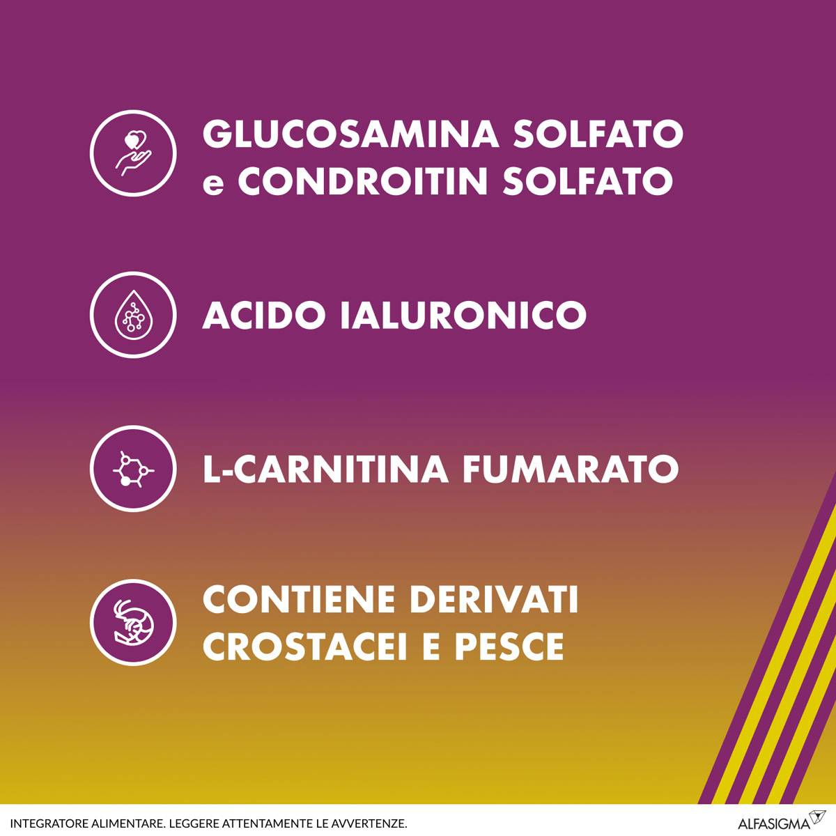 image - 905720658 - AMEDIAL BF 20 BUSTINE - 7825875_5.jpg