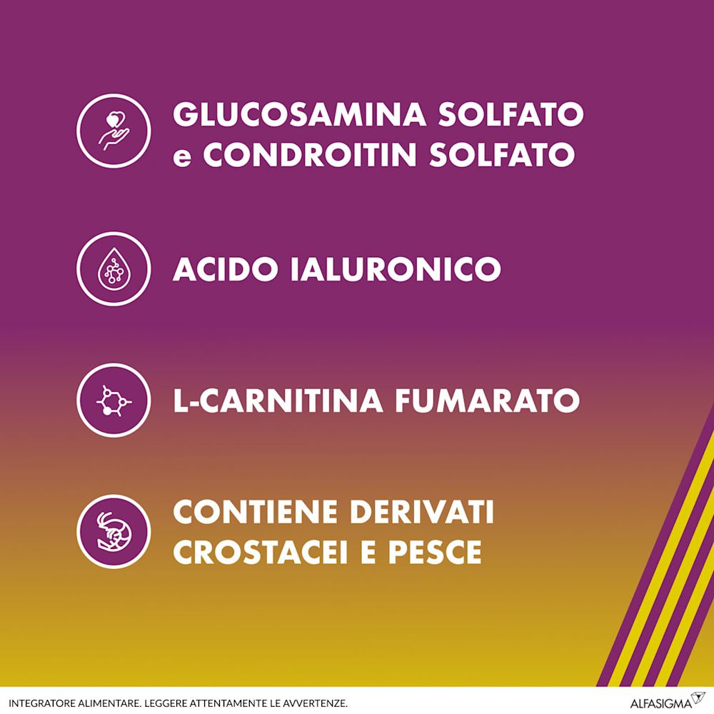 905720658 - AMEDIAL BF 20 BUSTINE - 7825875_5.jpg