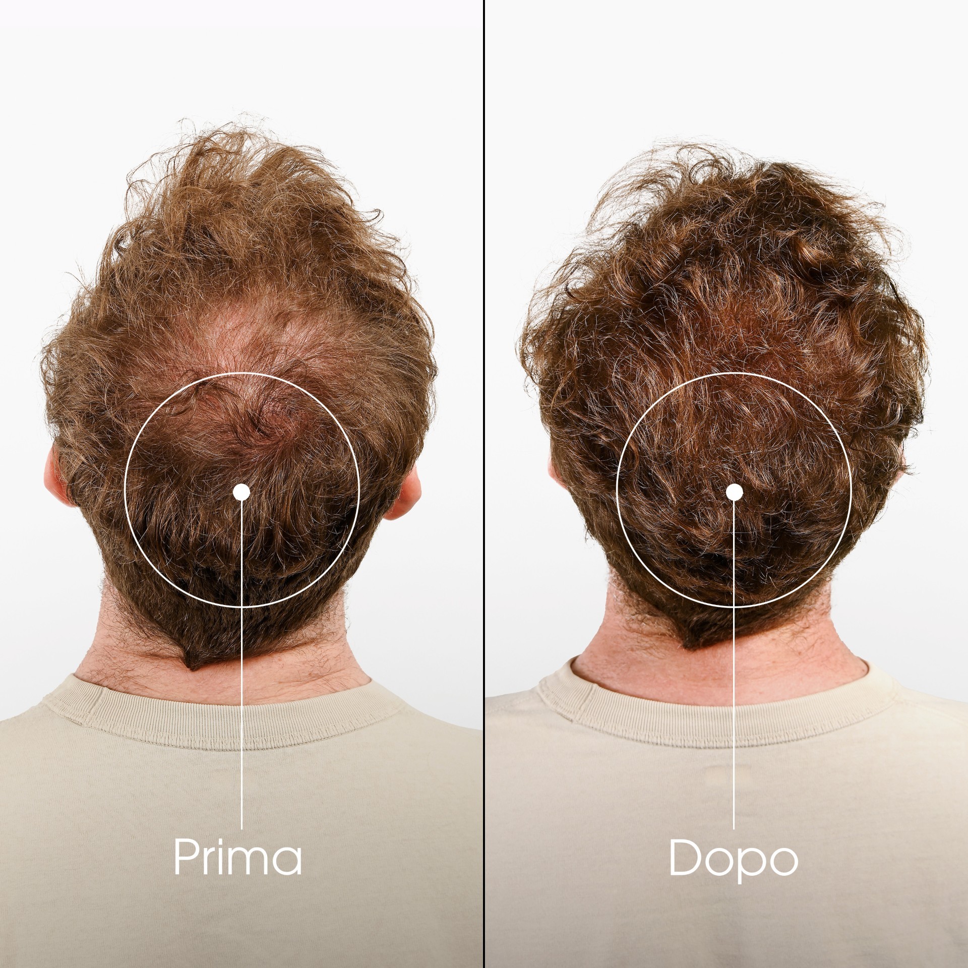 image - 981971070 - KLORANE SHAMPOO CHININA-STELLA ALPINA BIO 400 ML - 4707963_7.jpg