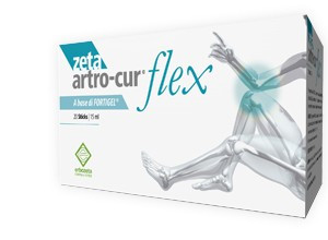 Zeta Artro Cur Flex 20 Stick