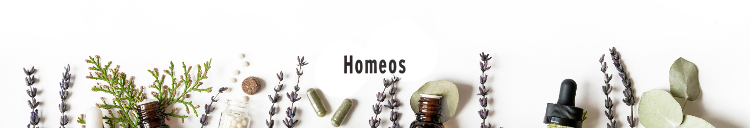 image - Hero desk Homeos