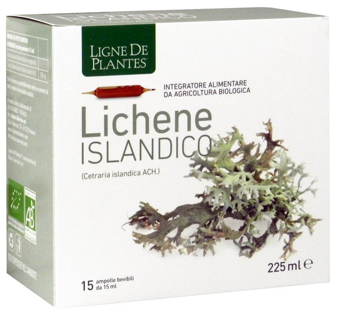 Ligne De Plantes Lichene Islandico Integratore immunostimolante 15 Ampolle 15ml