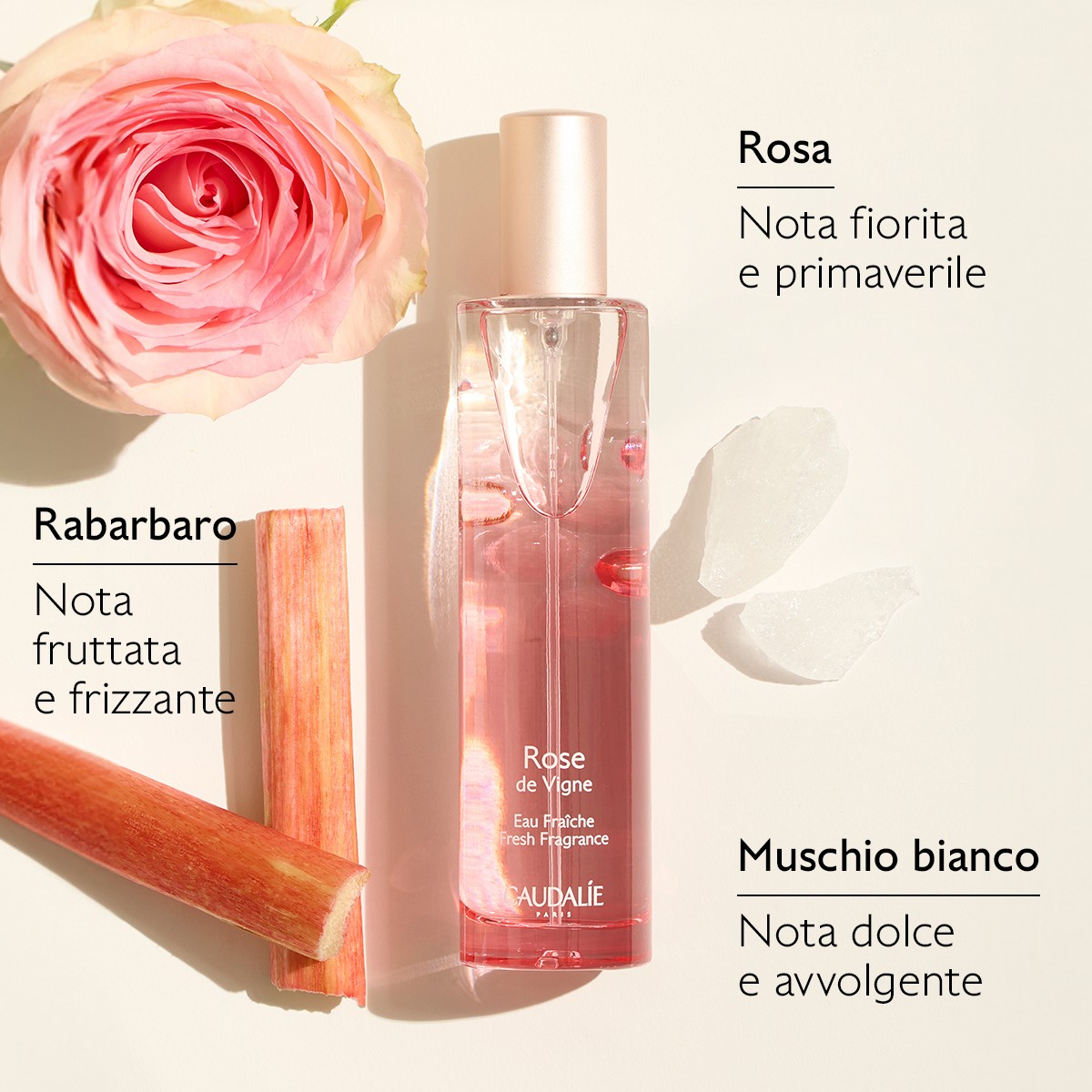 image - 951104064 - ROSE DE VIGNE COFANETTO XMAS 2025 ROSE PARFUM 50 ML + ROSE SHOWER GEL 200 ML - 4841721_3.jpg