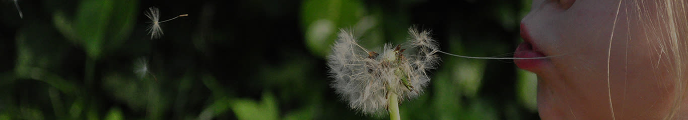 Magazine | Allergia stagionale: sintomi e rimedi