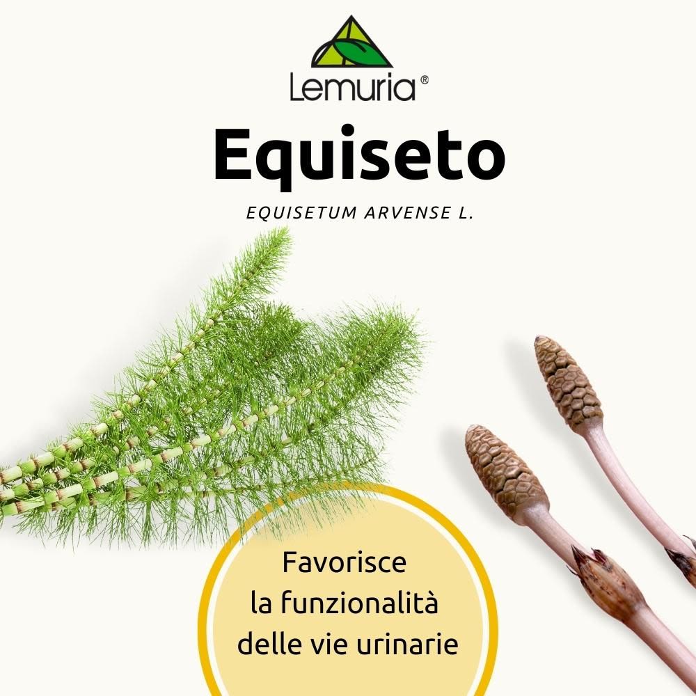 906355324 - Equiseto Estratto totale 1:1 senza alcol Soluzione bevibile in gocce 30ml - 4715178_4.jpg