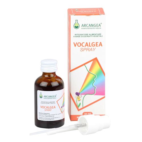 932084407 - Vocalgea Spray Soluzione Idroalcolica 30ml - 4722510_2.jpg