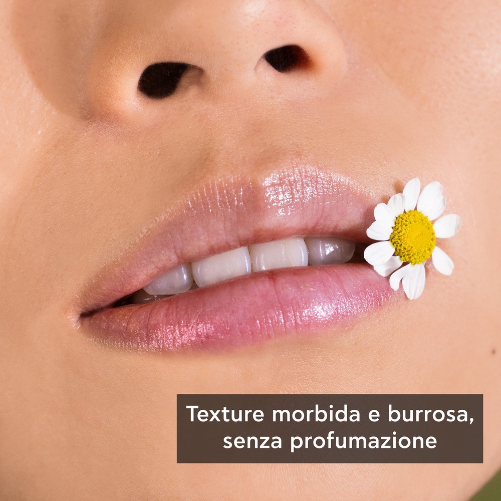 image - 973515897 - APIVITA LIPCARE CHAMOMILE 4,4 G/17 - 4730454_4.jpg