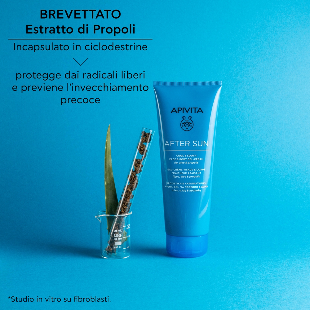 987407792 - APIVITA AFTER SUN LIMITED EDITION 24 200 ML - 4753094_4.jpg