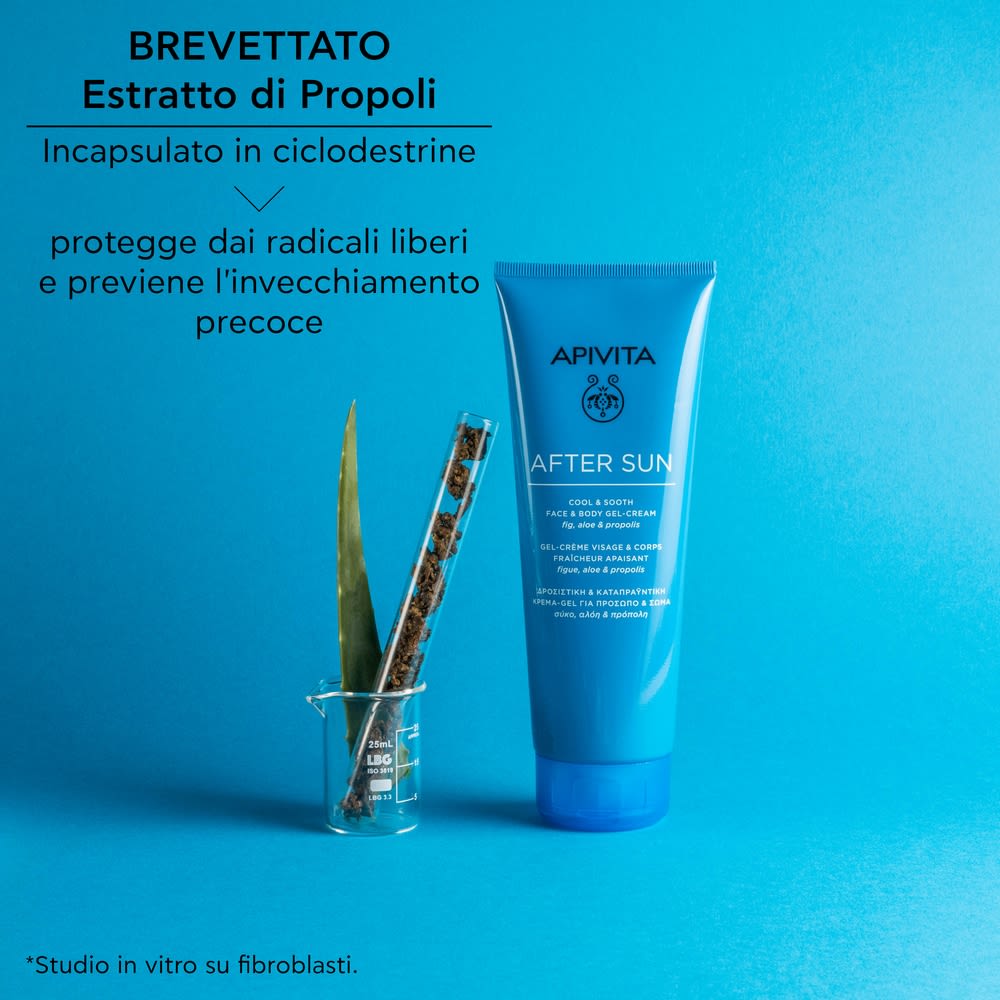 987407792 - APIVITA AFTER SUN LIMITED EDITION 24 200 ML - 4753094_4.jpg